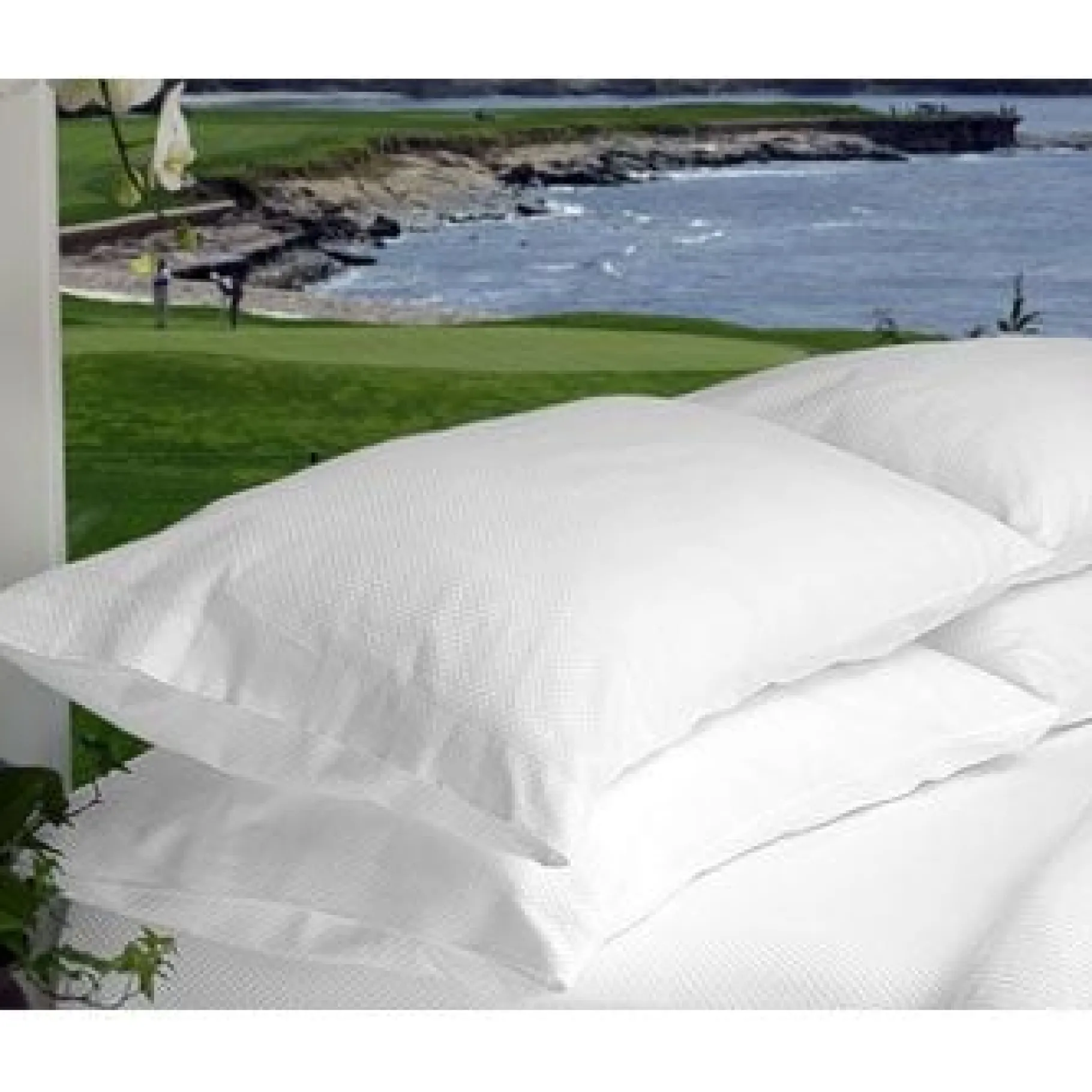 Fashion Pebble Beach Resorts 100% Egyptian Cotton Micro-Check Pillow Cases - Two Case Set