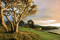 Online Pebble Beach Quietude By Joann Dost -Metal Print
