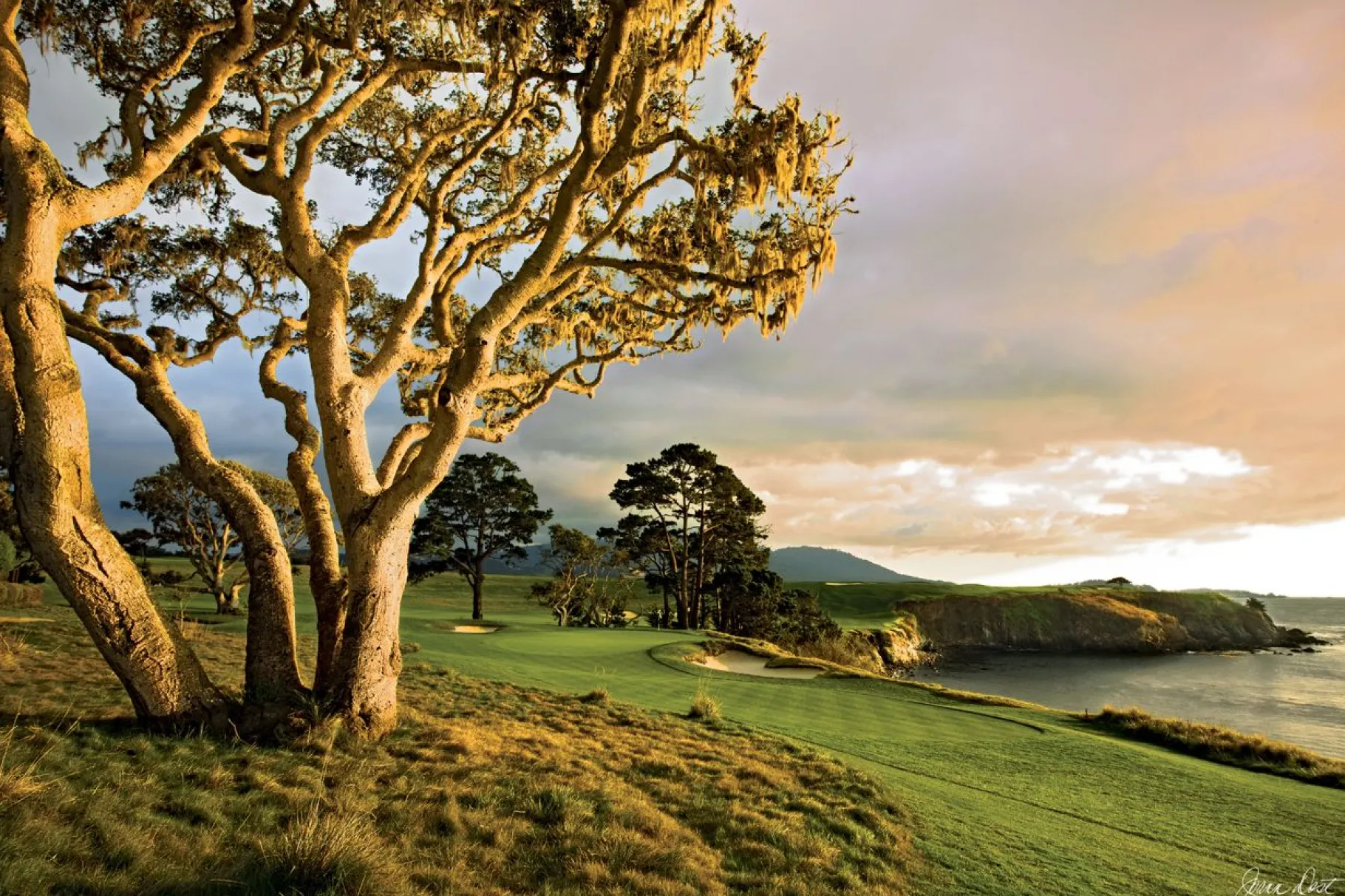 Online Pebble Beach Quietude By Joann Dost -Metal Print